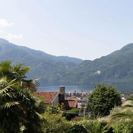 Mamma Ciccia Holiday Home - Mountains & Lake Mandello del Lario Exterior foto